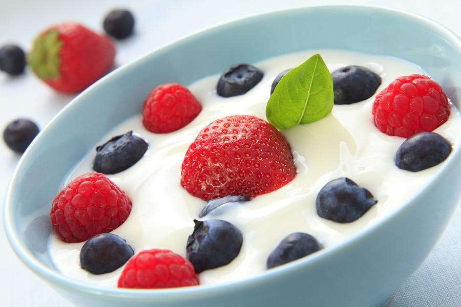 yogurt fatto in casa