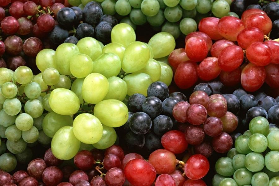 Alimentazione autunnale: tempo d’uva!