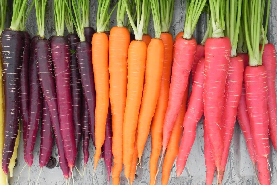 6 benefiche proprietà delle carote, tesoro sottovalutato