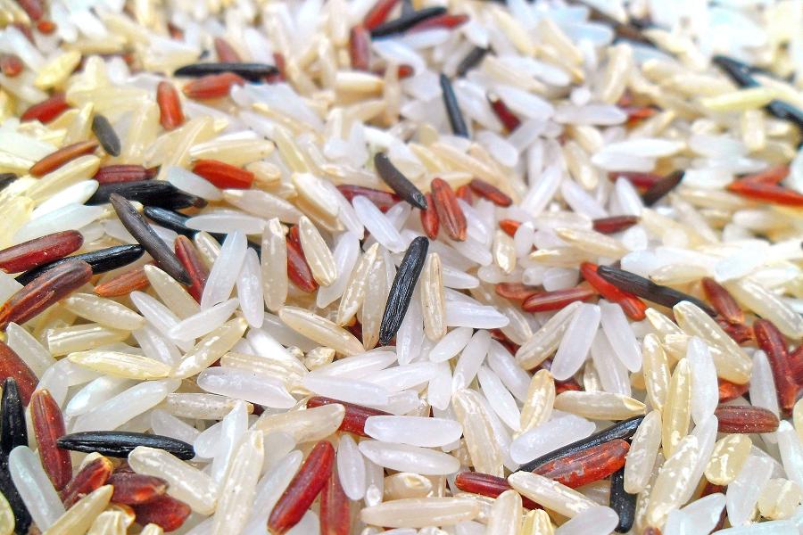 Chicchi di salute: tutte le proprietà del riso
