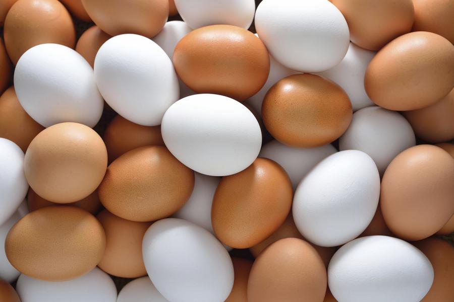 Benefici delle uova: mangiamole conoscendoli