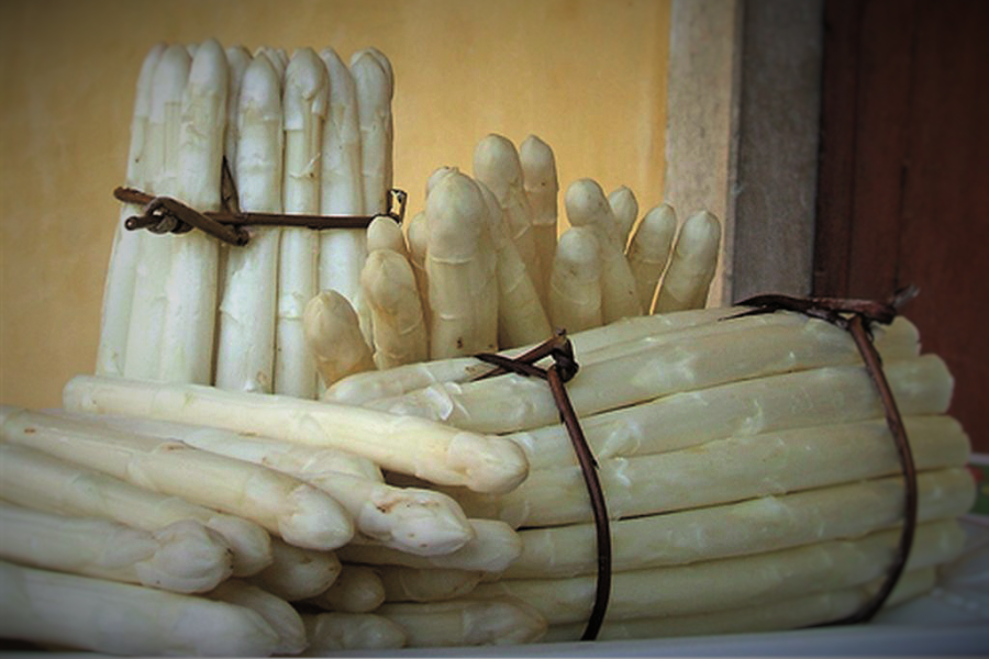 Festa dell’asparago 2016: a Bibione si celebra quello bianco